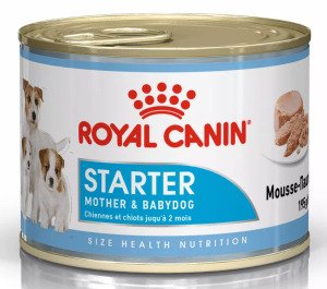 Вологий корм для цуценят Royal Canin Starter Mousse, 195 г
