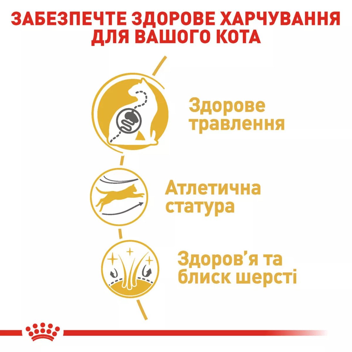 Сухий корм для котів Royal Canin Bengal Adult, 2 кг