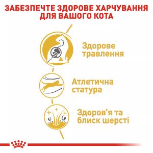 Сухий корм для котів Royal Canin Bengal Adult, 2 кг