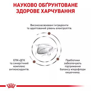 Сухий корм для котів Royal Canin GastroIntestinal Cat, 2 кг