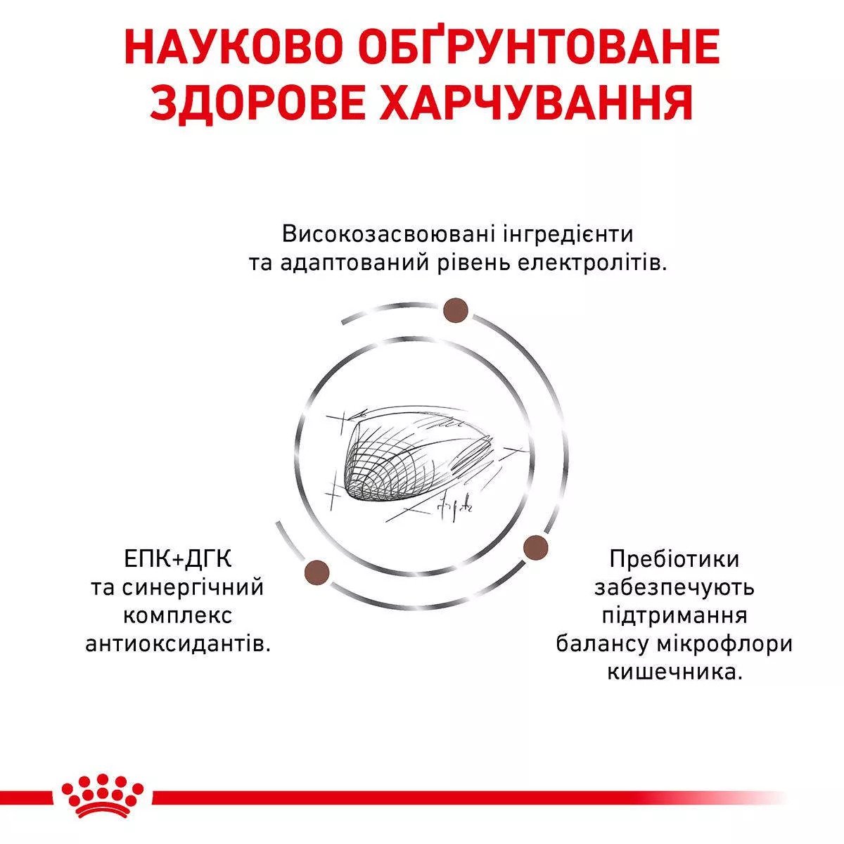 Сухий корм для котів Royal Canin GastroIntestinal Cat, 400 г