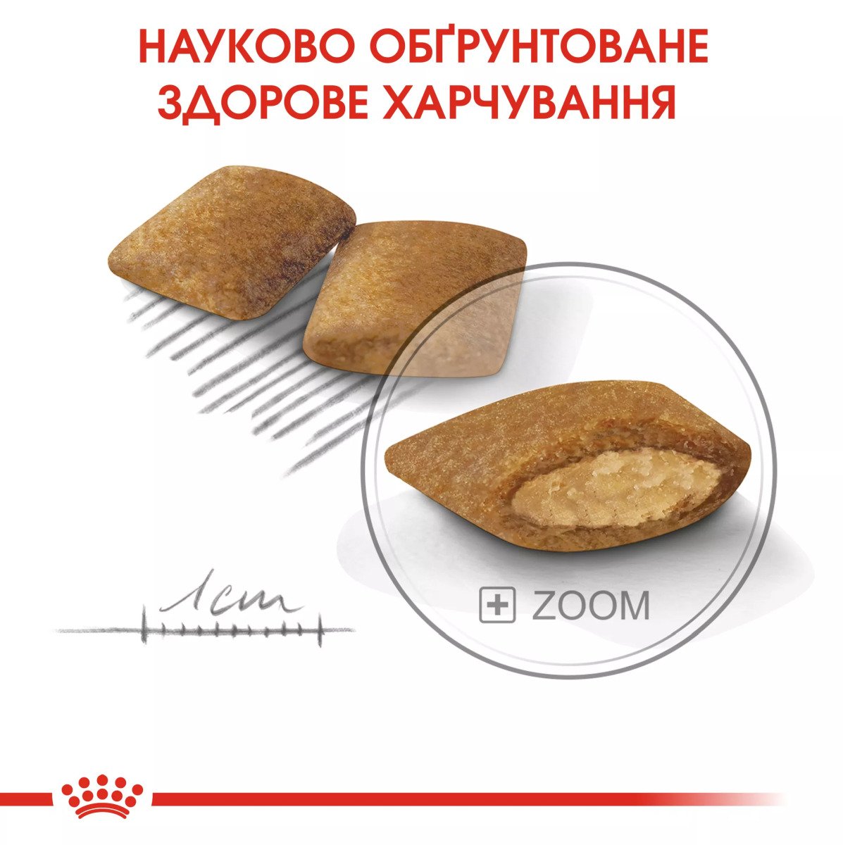 Сухий корм для собак малих порід Royal Canin Mini Exigent, 3 кг