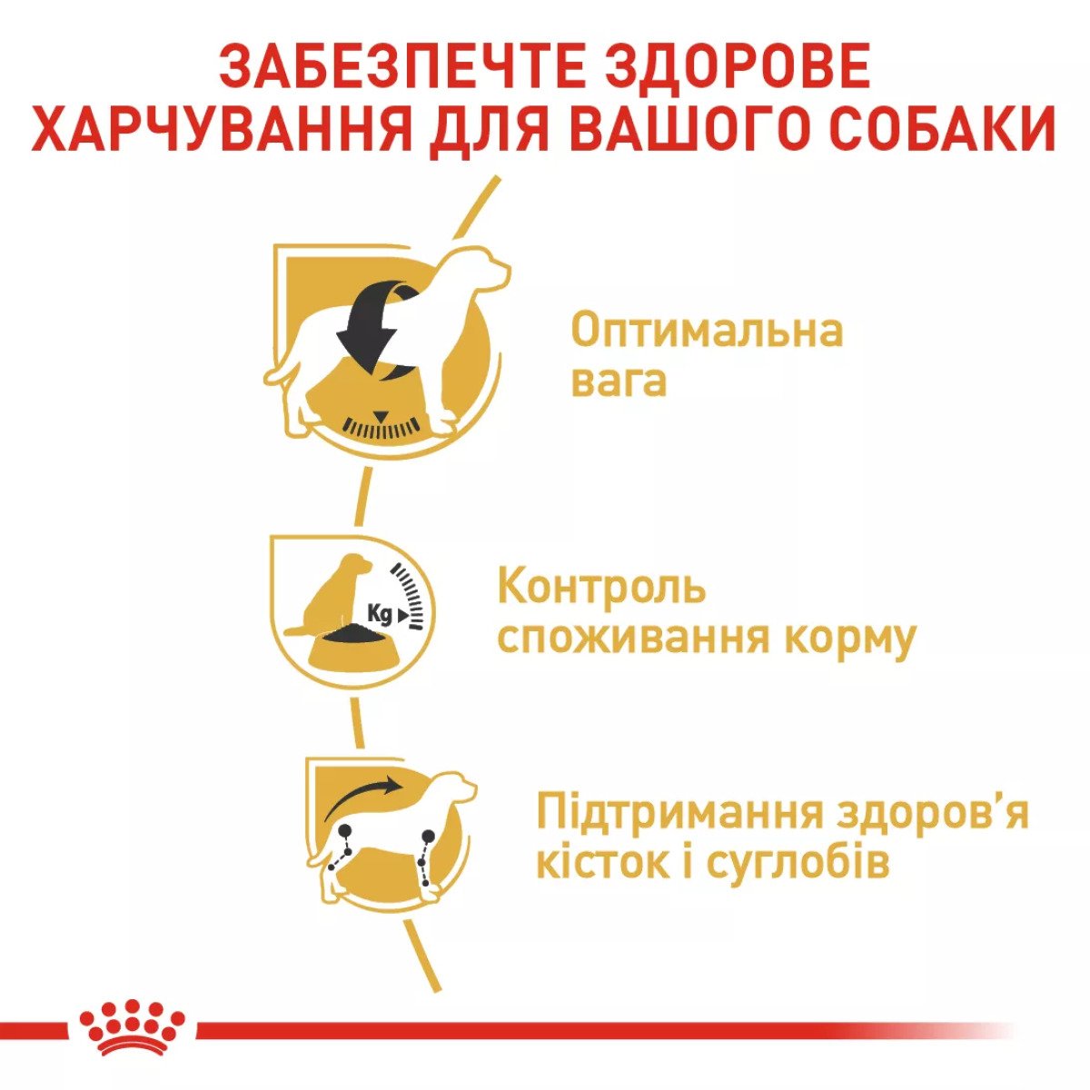 Сухий корм для собак середніх порід Royal Canin Beagle Adult, 3 кг