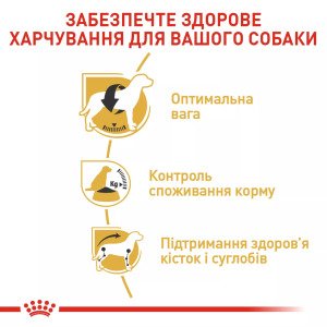 Сухий корм для собак середніх порід Royal Canin Beagle Adult, 3 кг