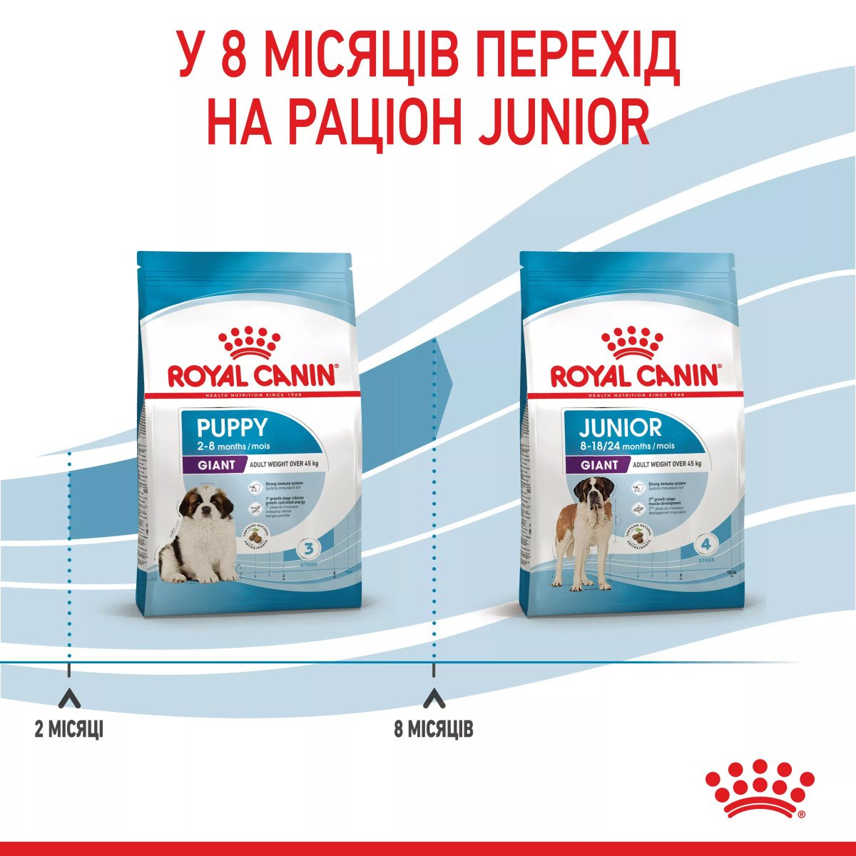 Сухий корм для цуценят великих порід Royal Canin Giant Puppy, 1 кг