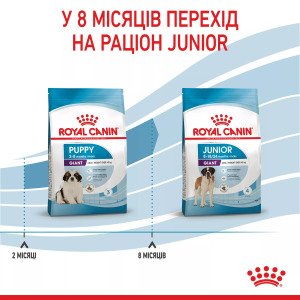 Сухий корм для цуценят великих порід Royal Canin Giant Puppy, 1 кг