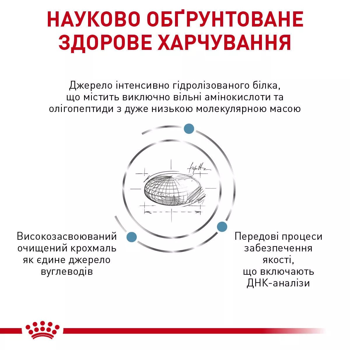 Сухий корм для собак малих порід Royal Canin Anallergenic Small Dog, 3 кг