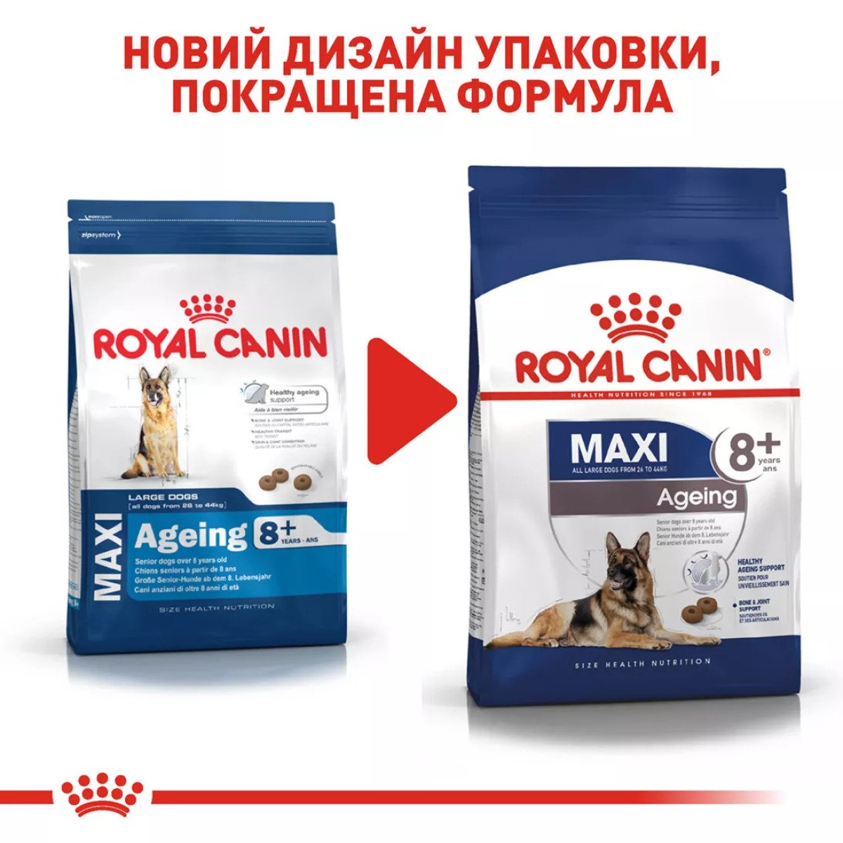 Сухий корм для собак великих порід Royal Canin Maxi Ageing 8+, 15 кг