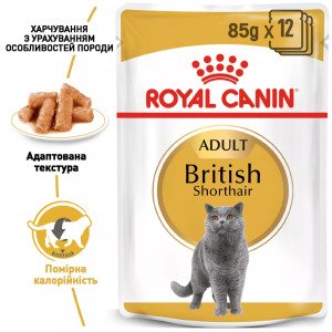 Вологий корм для котів Royal Canin British Shorthair Adult, 85 г
