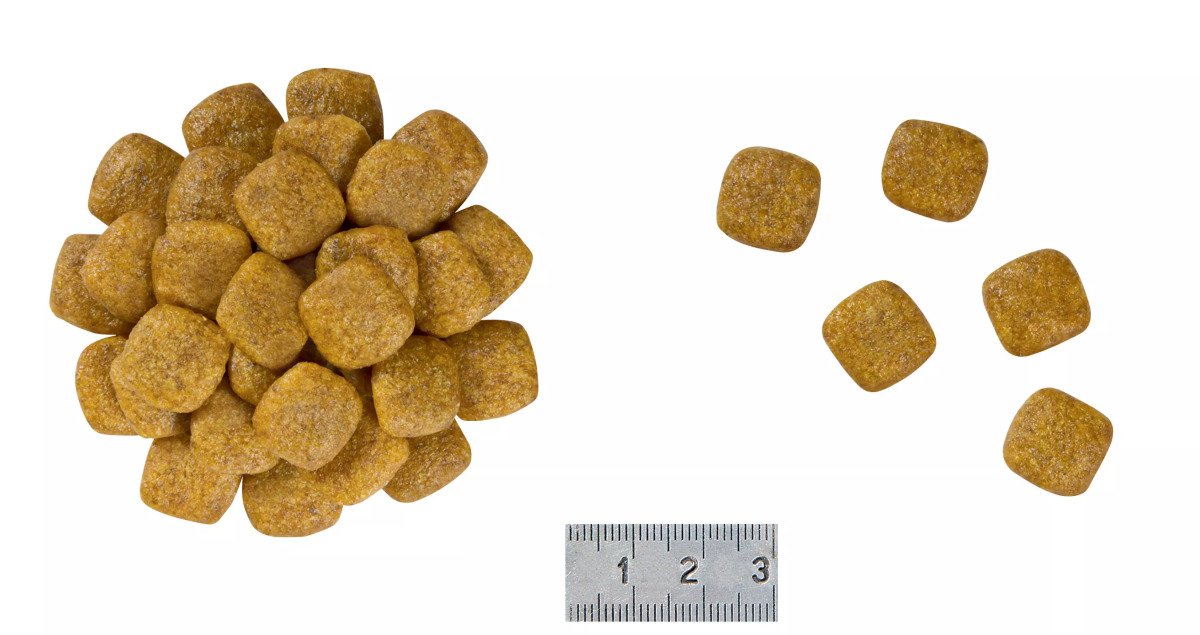 Сухий корм для собак Royal Canin Renal Canine, 2 кг
