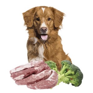 Orygo Pork 3,6 Kg box/Н/в корм д/доросл. собак Оріго Порк 3,6 Кг (18х200г)