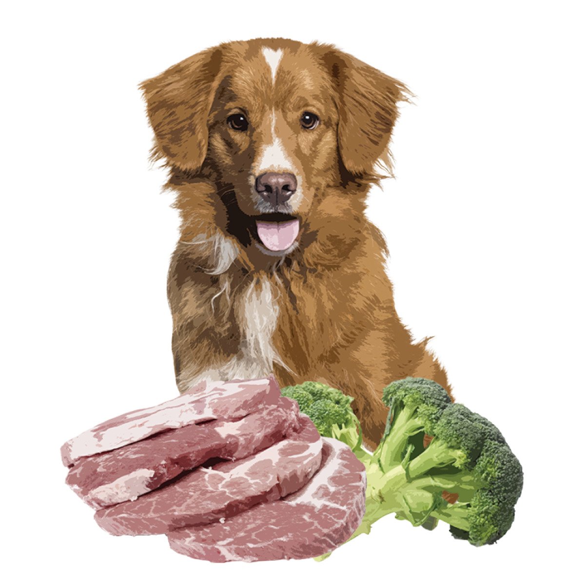 Orygo Pork 8 kg/Н/в корм д/дорослих собак Оріго Порк 8 Кг