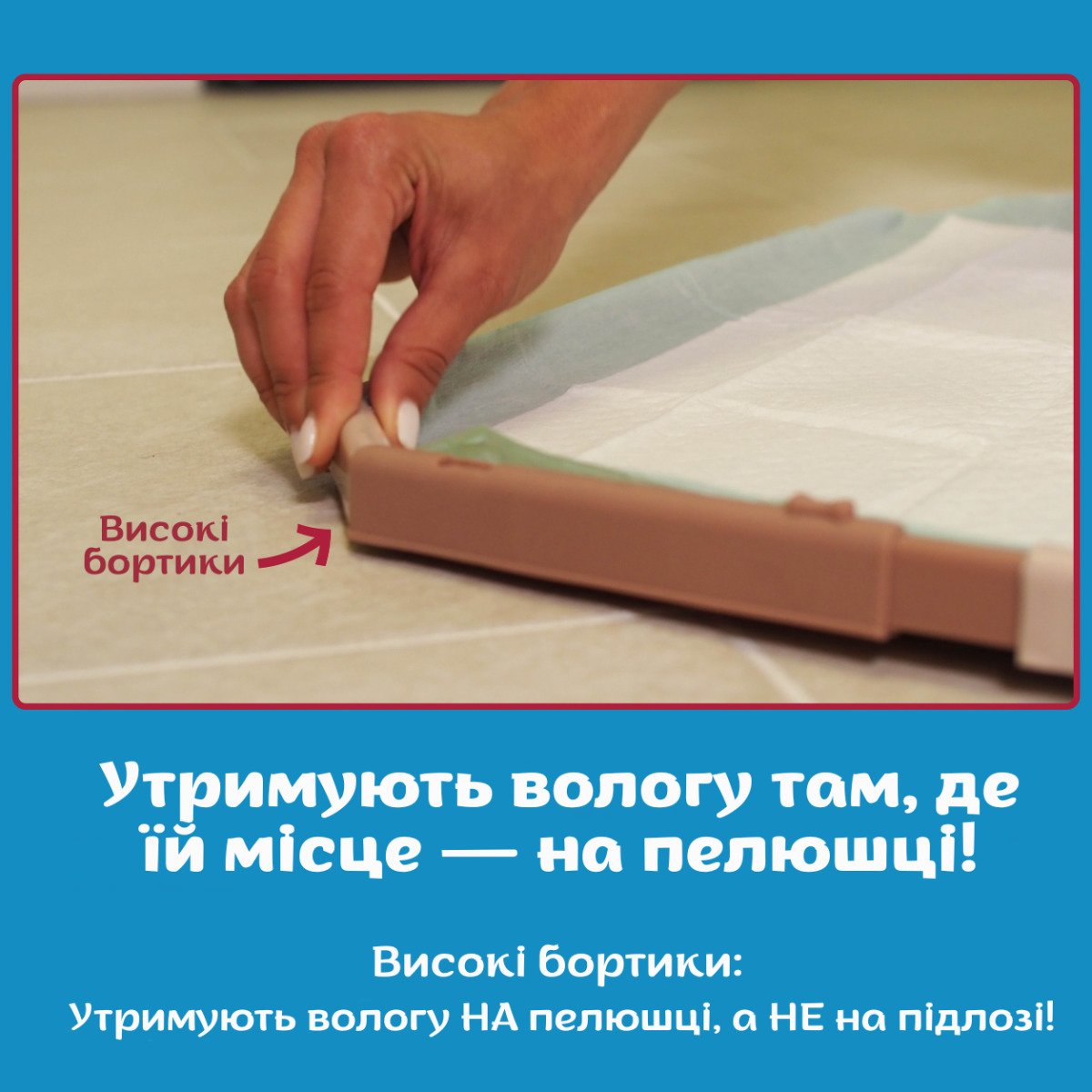 Гігієнічний піддон-фіксатор для пелюшок для собак OUT! Training Pad Holder (53 × 53 см)