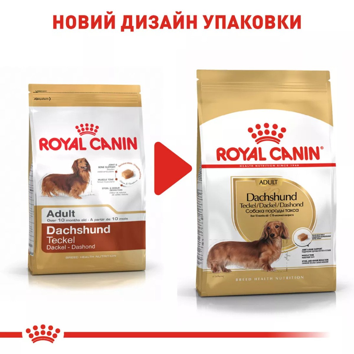 Сухий корм для собак малих порід Royal Canin Dachshund Adult, 1.5 кг