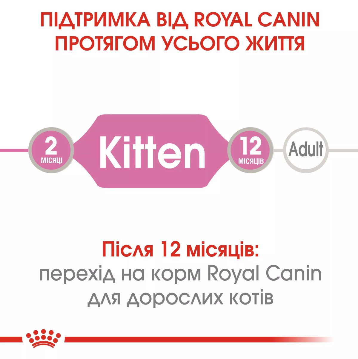 Вологий корм для кошенят Royal Canin Kitten Instinctive In Jelly, 85 г