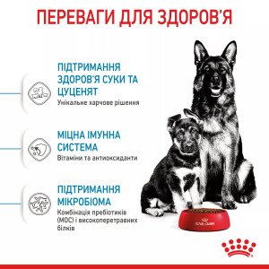 Сухий корм для цуценят великих порід Royal Canin Maxi Starter, 4 кг
