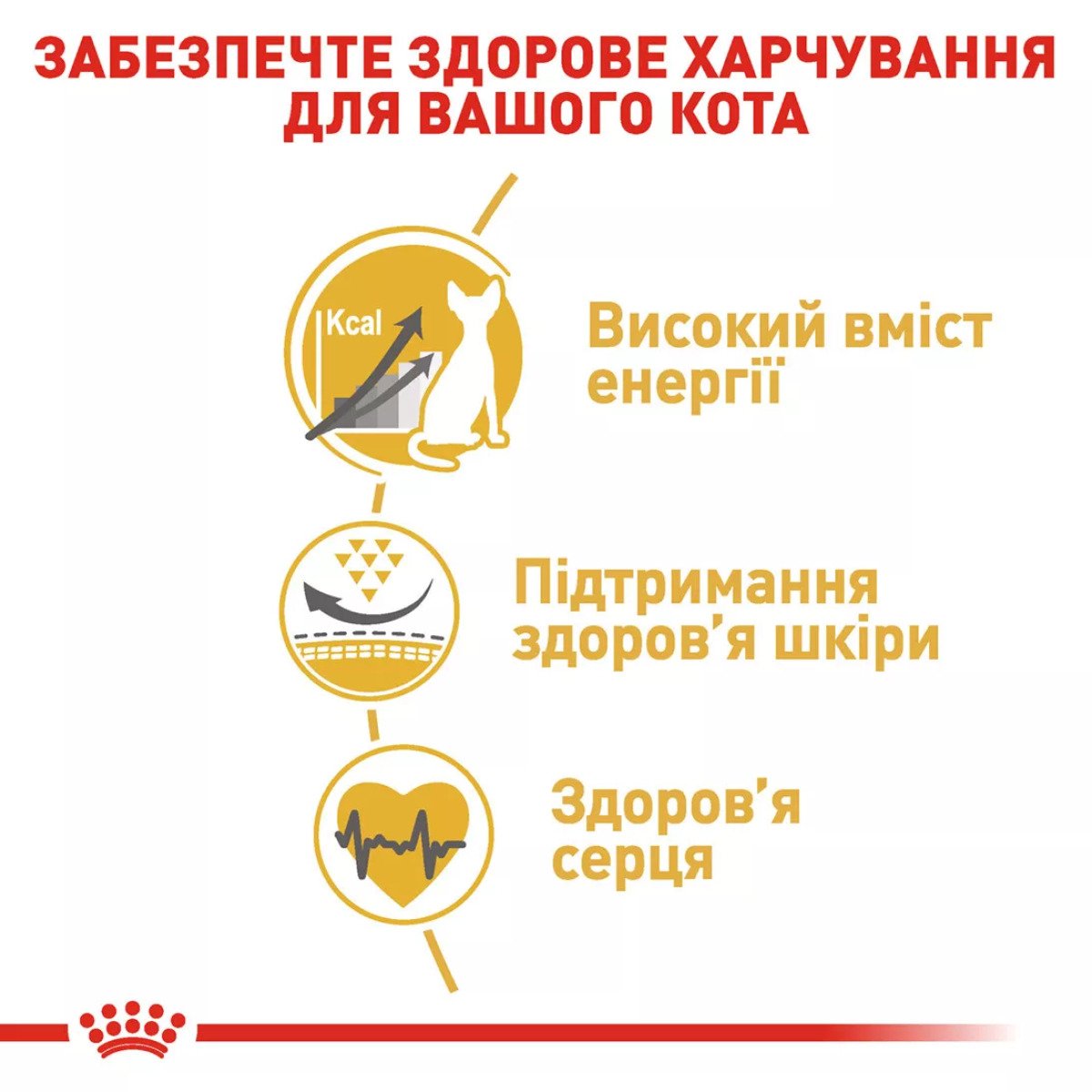 Сухий корм для котів Royal Canin Sphynx Adult, 10 кг