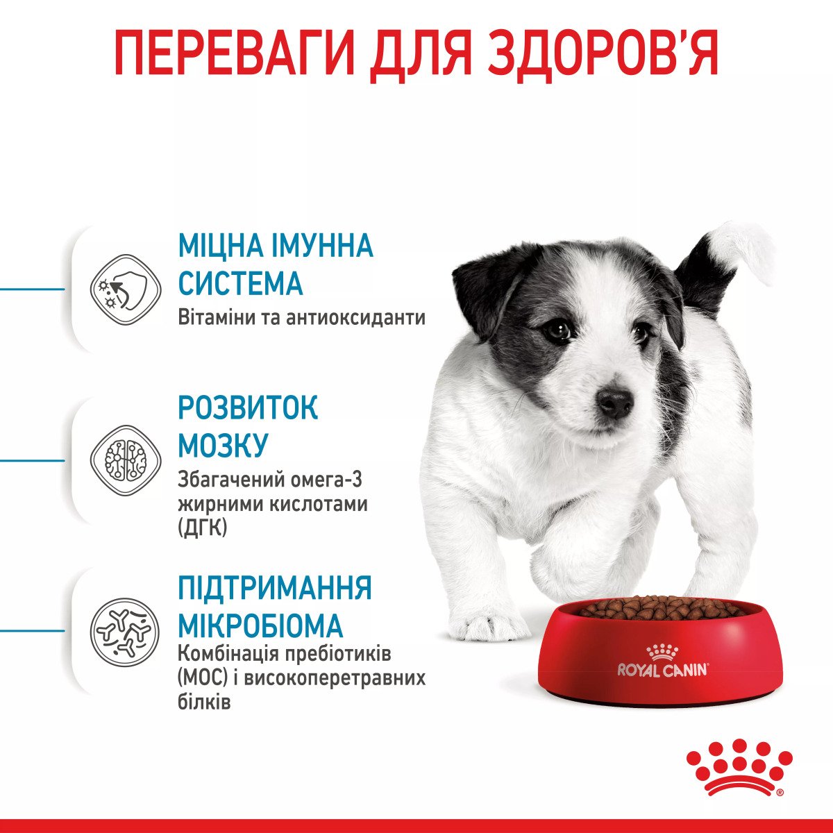 Сухий корм для цуценят мініатюрних порід Royal Canin Mini Puppy, 2 кг