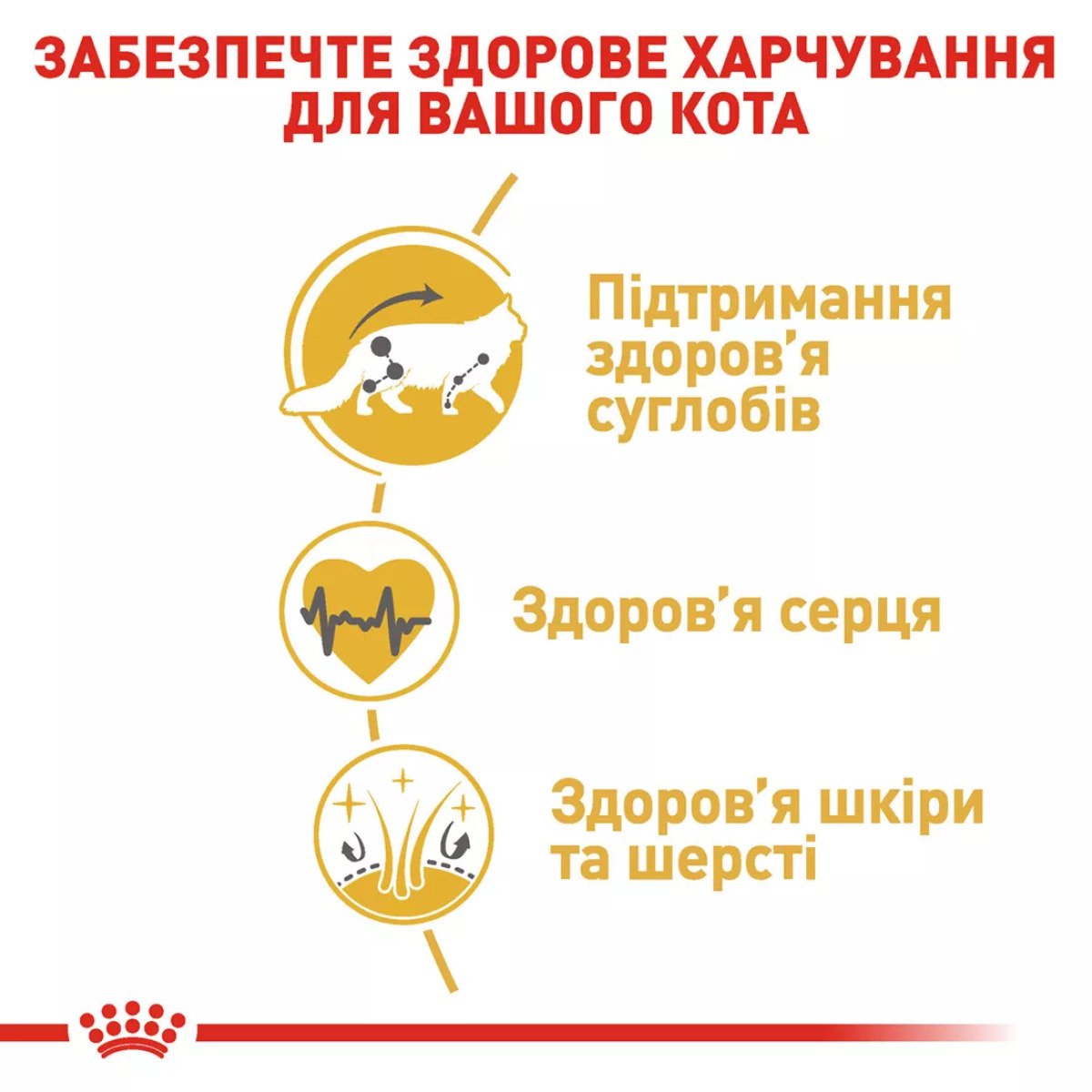 Сухий корм для котів Royal Canin Maine Coon Adult, 10 кг