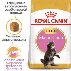 Сухий корм для кошенят Royal Canin Mainecoon Kitten, 2 кг