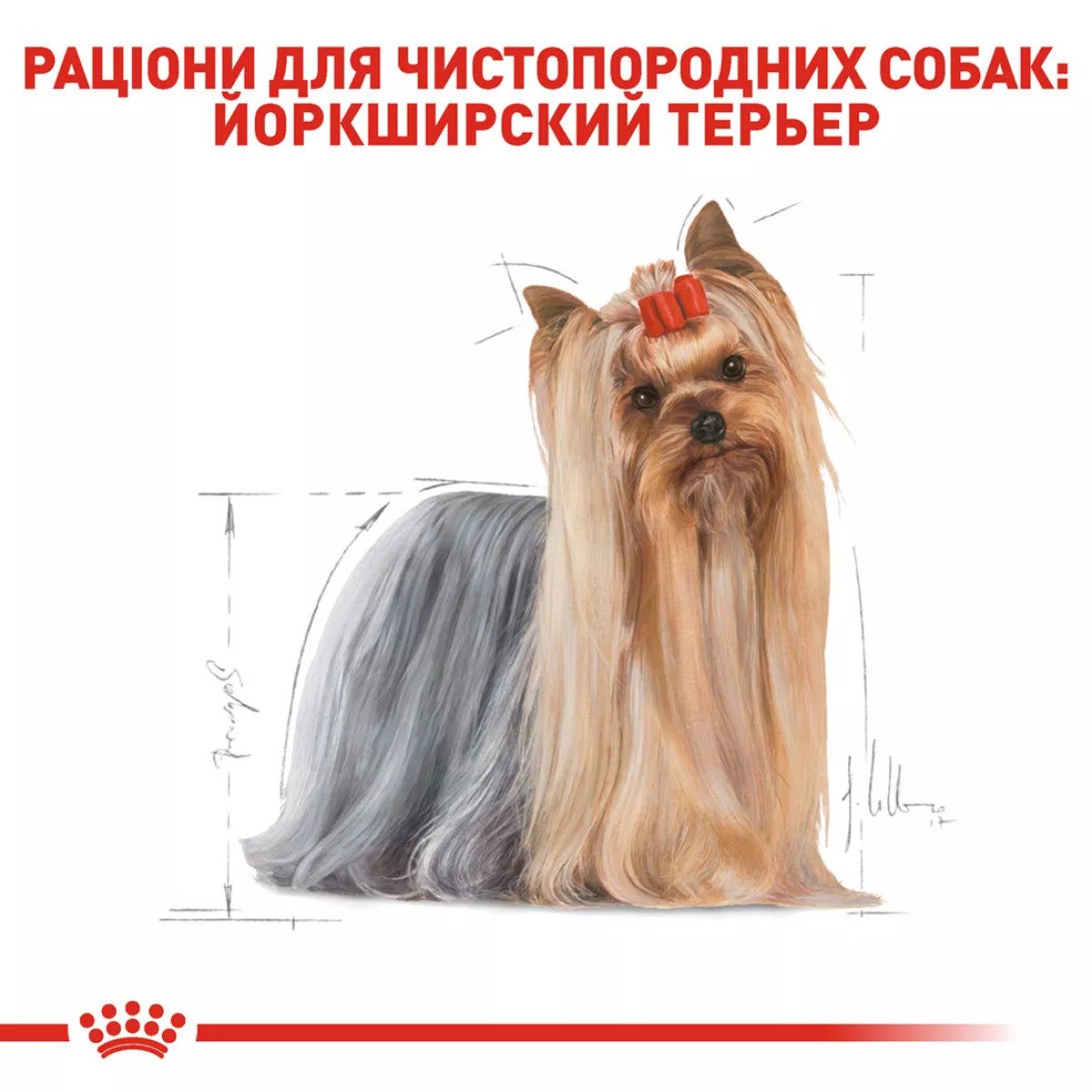 Сухий корм для йоркширських тер'єрів Royal Canin Yorkshire Terrier Adult, 7.5 кг