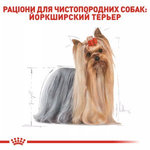 Сухий корм для йоркширських тер'єрів Royal Canin Yorkshire Terrier Adult, 7.5 кг