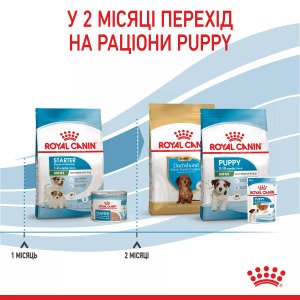 Сухий корм для цуценят мініатюрних порід Royal Canin Mini Starter, 1 кг