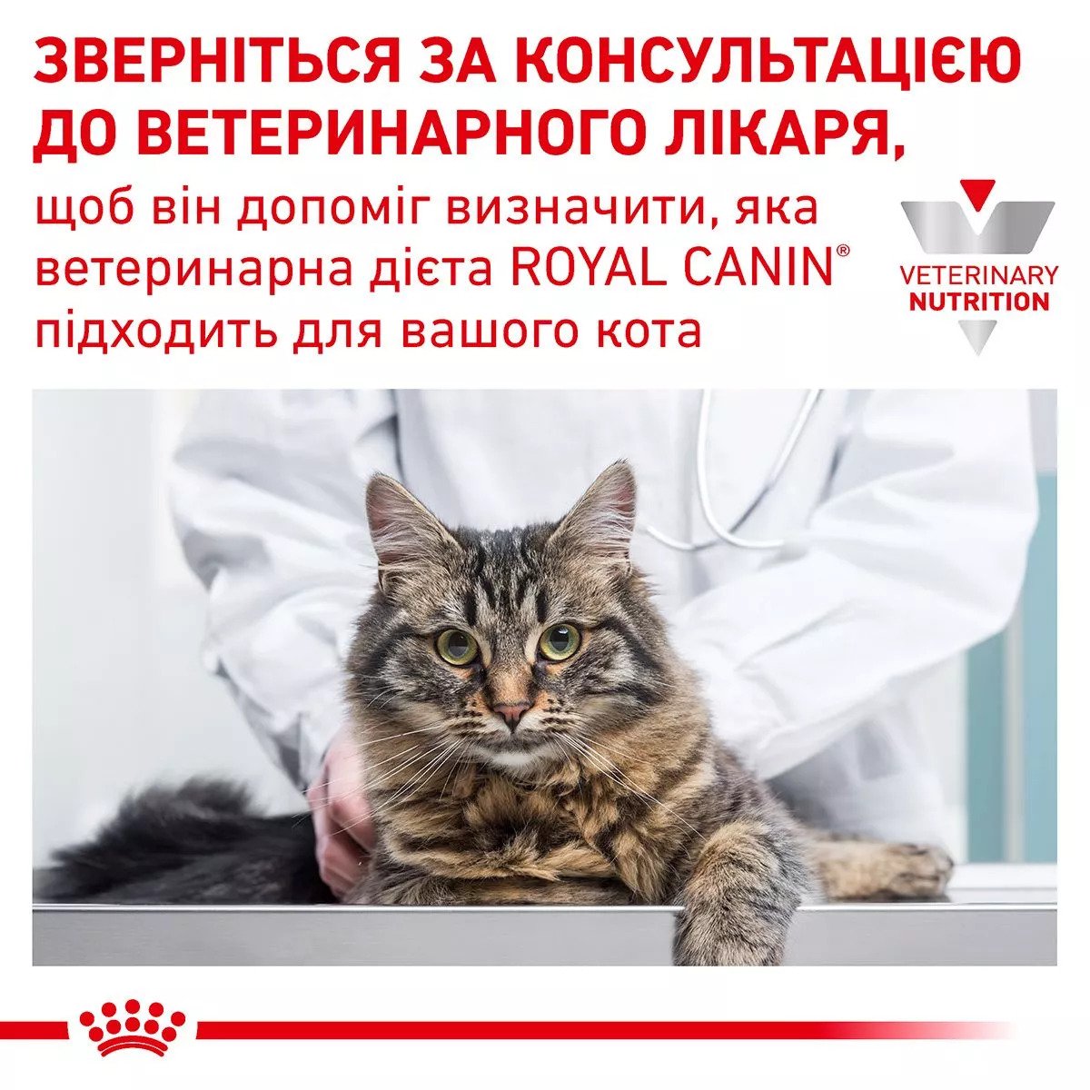 Вологий корм для котів Royal Canin GastroIntestinal Cat Pouches, 85 г