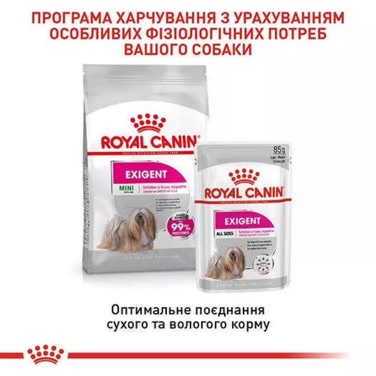 Сухий корм для собак малих порід Royal Canin Mini Exigent, 3 кг