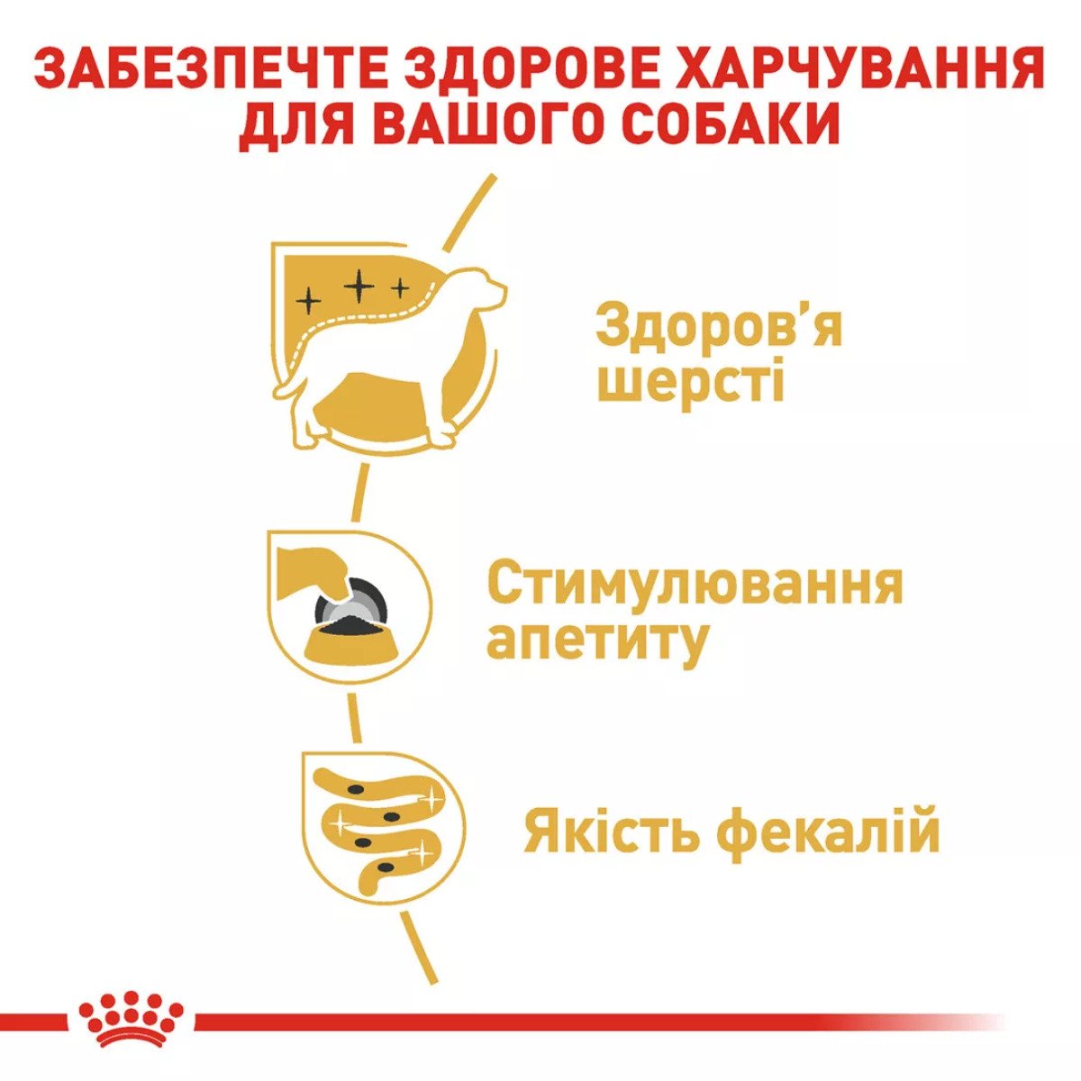 Вологий корм для йоркширських тер'єрів Royal Canin Yorkshire Adult, 85 г
