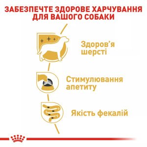 Вологий корм для йоркширських тер'єрів Royal Canin Yorkshire Adult, 85 г