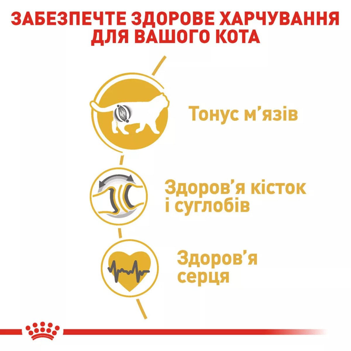 Сухий корм для котів Royal Canin British Shorthair Adult, 400 г