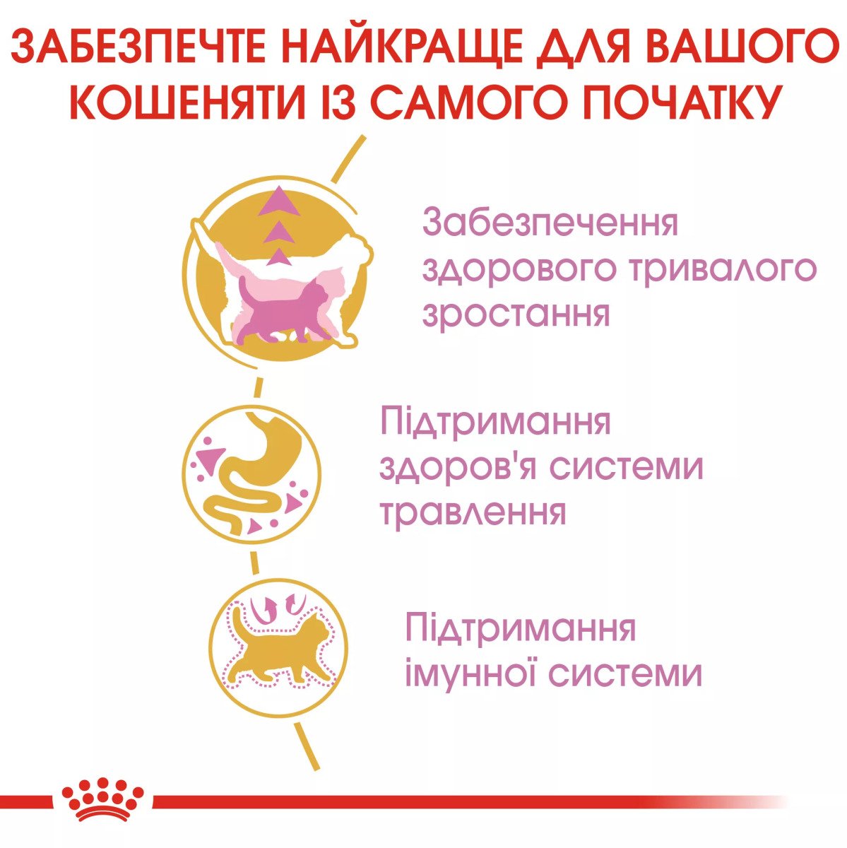 Сухий корм для кошенят Royal Canin Mainecoon Kitten, 2 кг