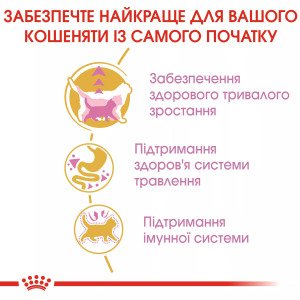 Сухий корм для кошенят Royal Canin Mainecoon Kitten, 2 кг