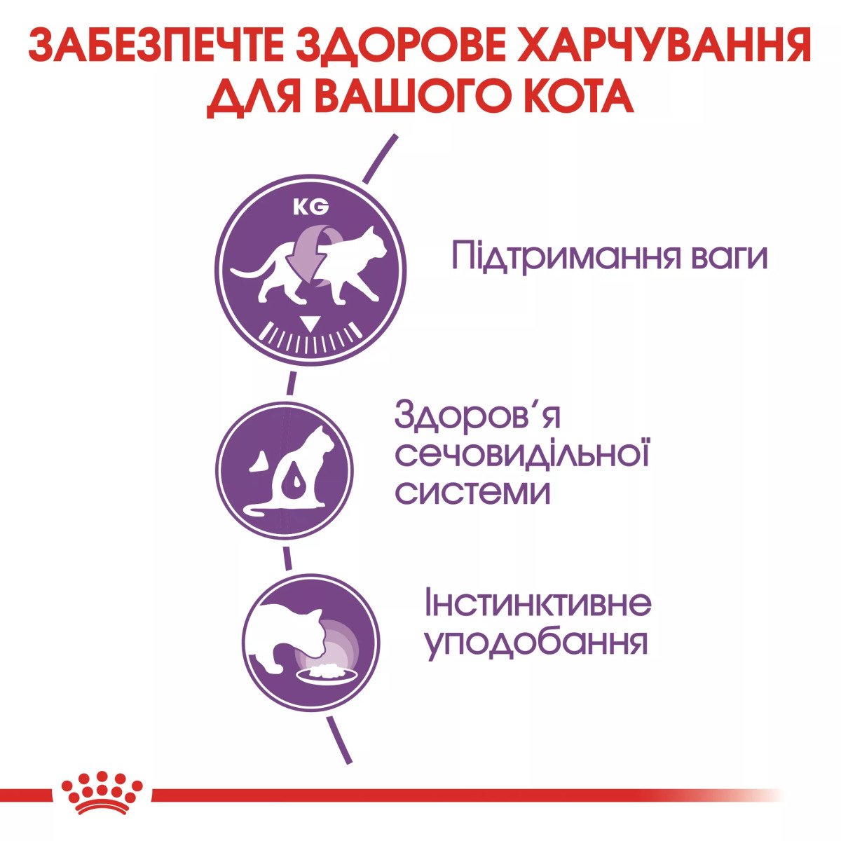 Вологий корм для стерилізованих котів Royal Canin Sterilised in Jelly, 85 г