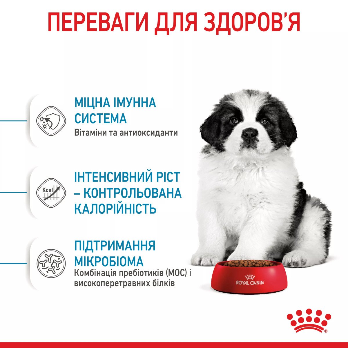 Сухий корм для цуценят великих порід Royal Canin Giant Puppy, 1 кг