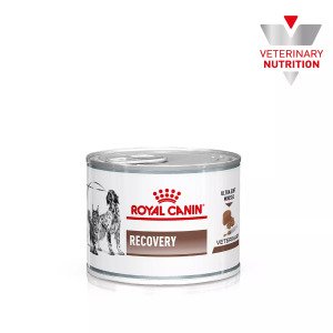 Вологий корм для котів Royal Canin Recovery, 195 г