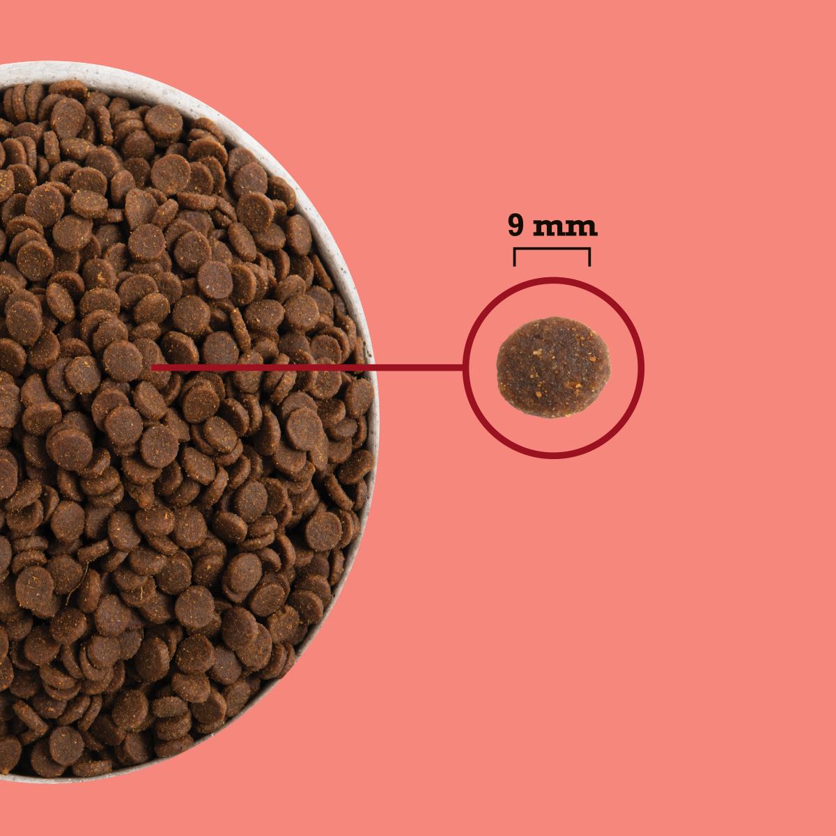 ACANA HIGHEST PROTEIN INDOOR CAT 1.8KG (x8)