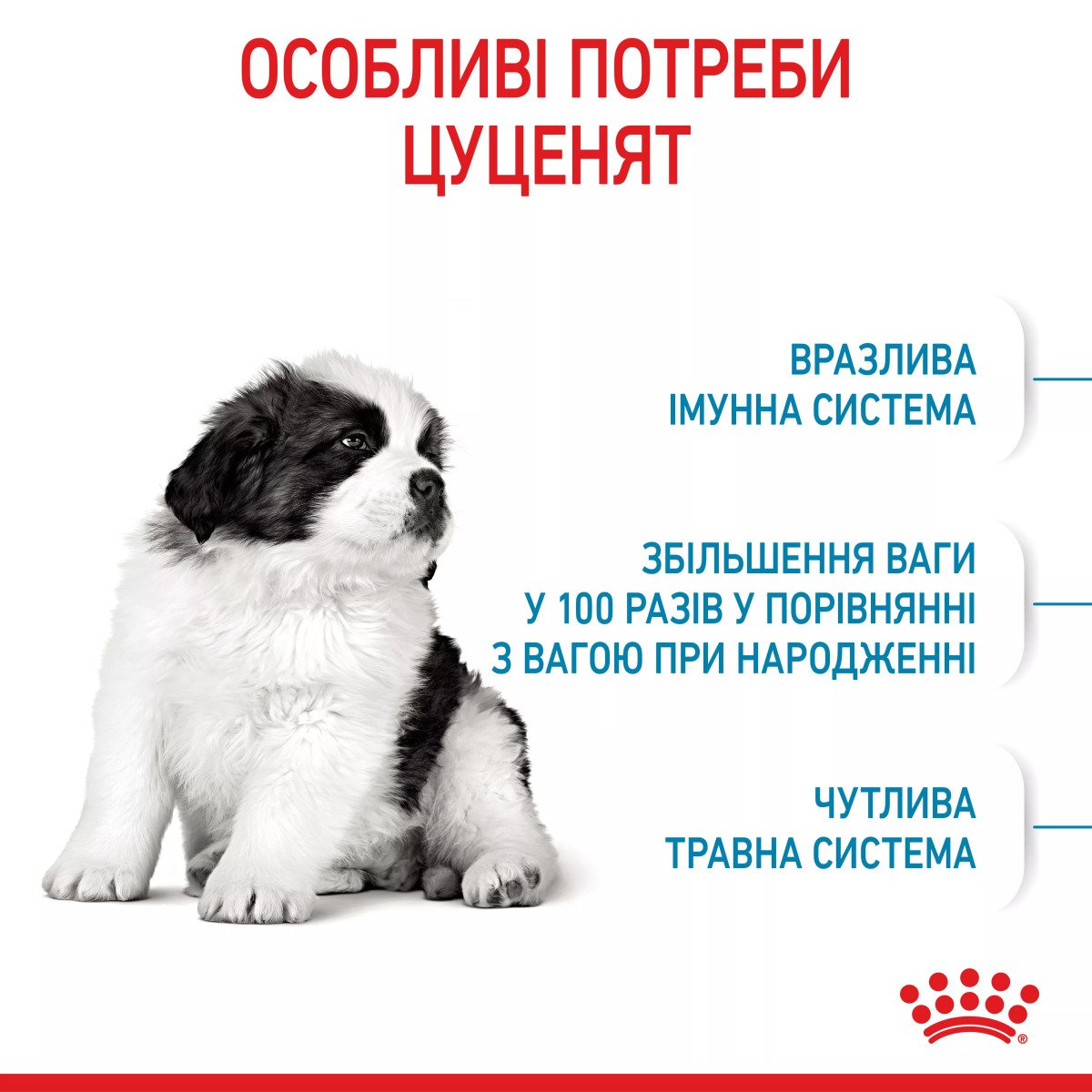 Сухий корм для цуценят великих порід Royal Canin Giant Puppy, 1 кг