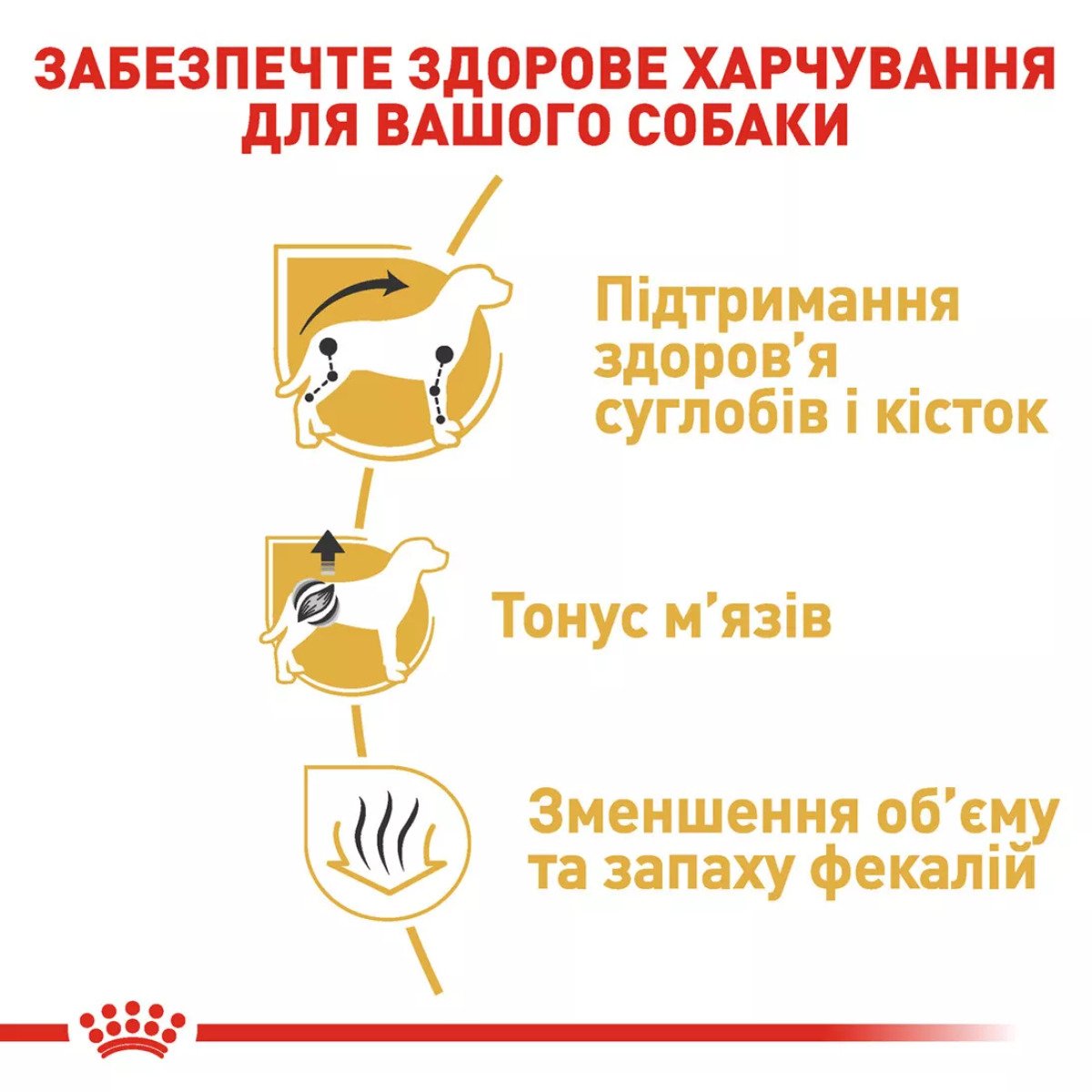 Сухий корм для собак малих порід Royal Canin Dachshund Adult, 1.5 кг