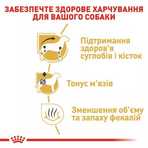 Сухий корм для собак малих порід Royal Canin Dachshund Adult, 1.5 кг