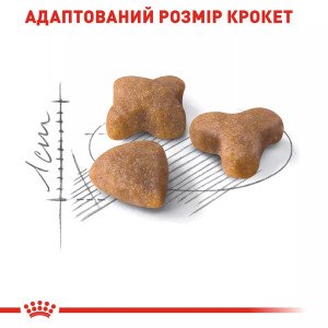 Сухий корм для котів Royal Canin Sensible 33, 10 кг