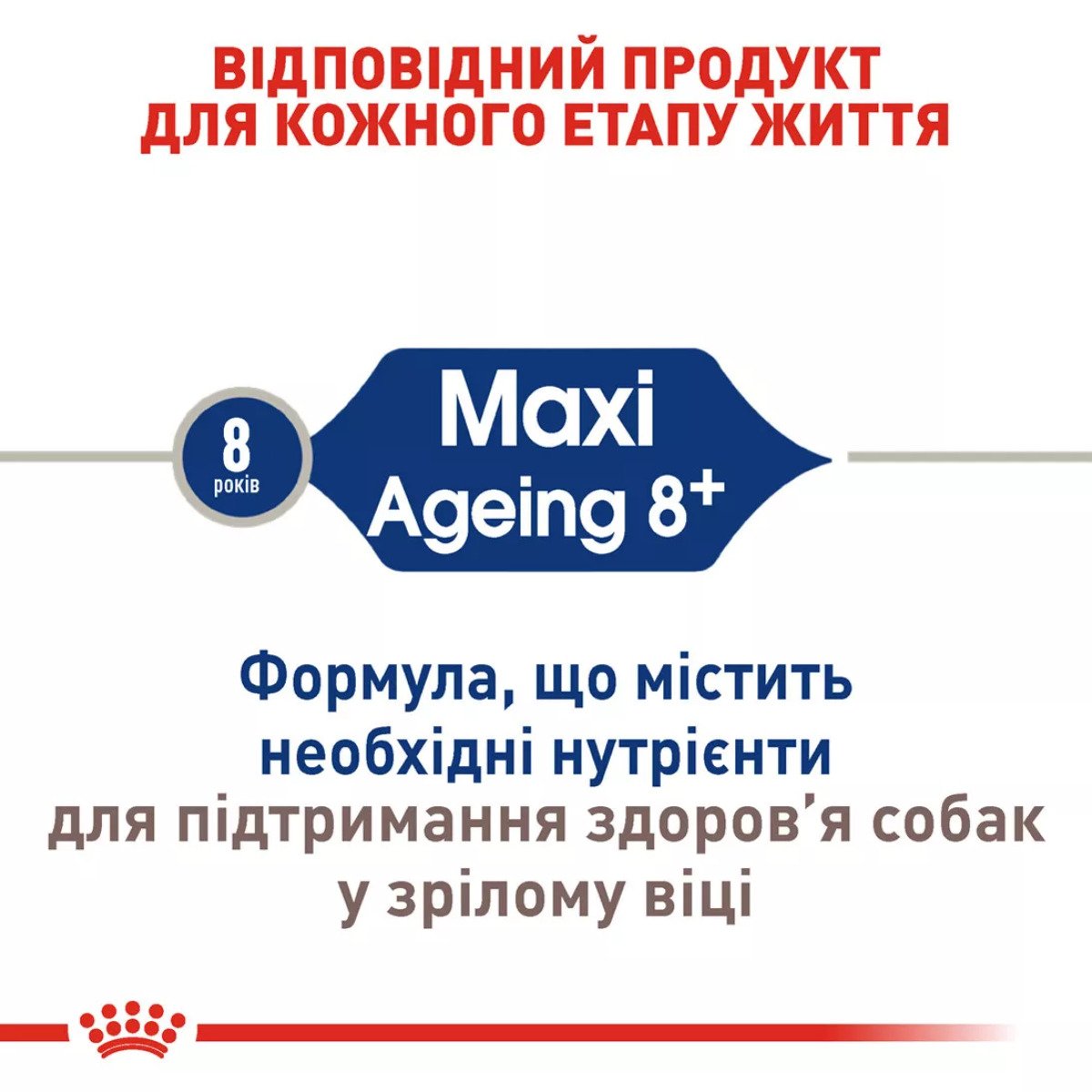 Сухий корм для собак великих порід Royal Canin Maxi Ageing 8+, 15 кг