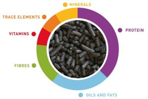 Valman Black pellets 1kg/Корм д/комахоїдних птахів, майнів і др. Валман Блек Пеллетс 1кг
