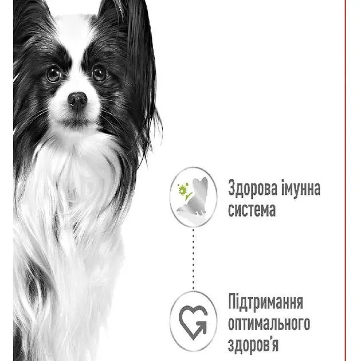 Вологий корм для собак малих порід Royal Canin X-Small Adult, 4 кг