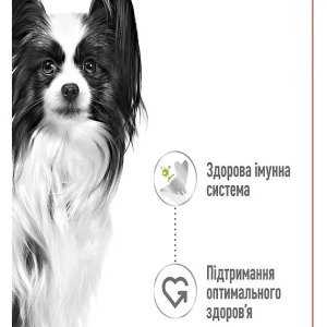 Вологий корм для собак малих порід Royal Canin X-Small Adult, 4 кг