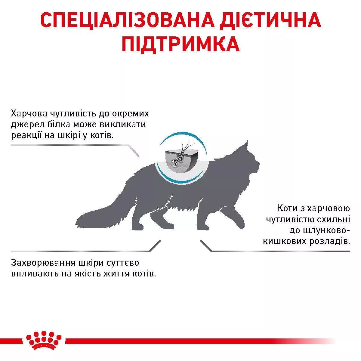 Сухий корм для котів Royal Canin Skin And Coat Cat, 1.5 кг