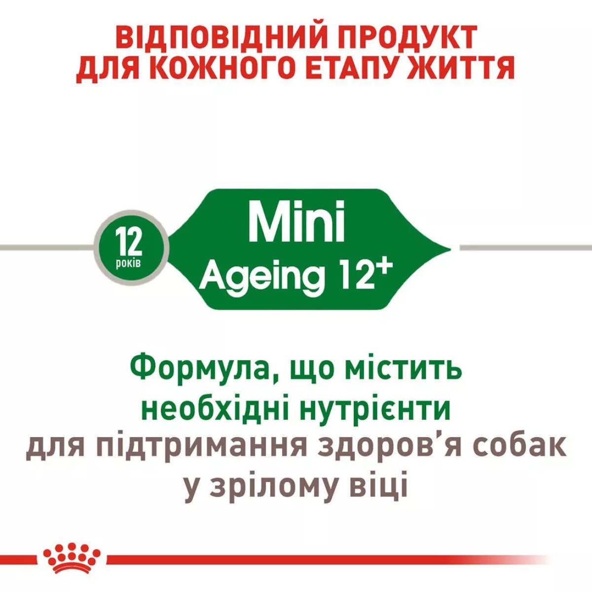 Сухий корм для собак малих порід Royal Canin Mini Ageing 12+, 800 г
