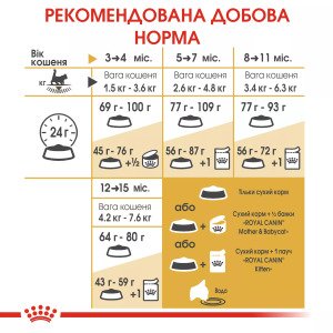 Сухий корм для кошенят Royal Canin Mainecoon Kitten, 400 г