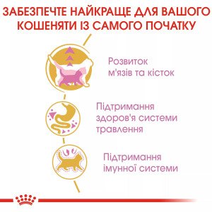 Сухий корм для кошенят Royal Canin British Shorthair Kitten, 2 кг